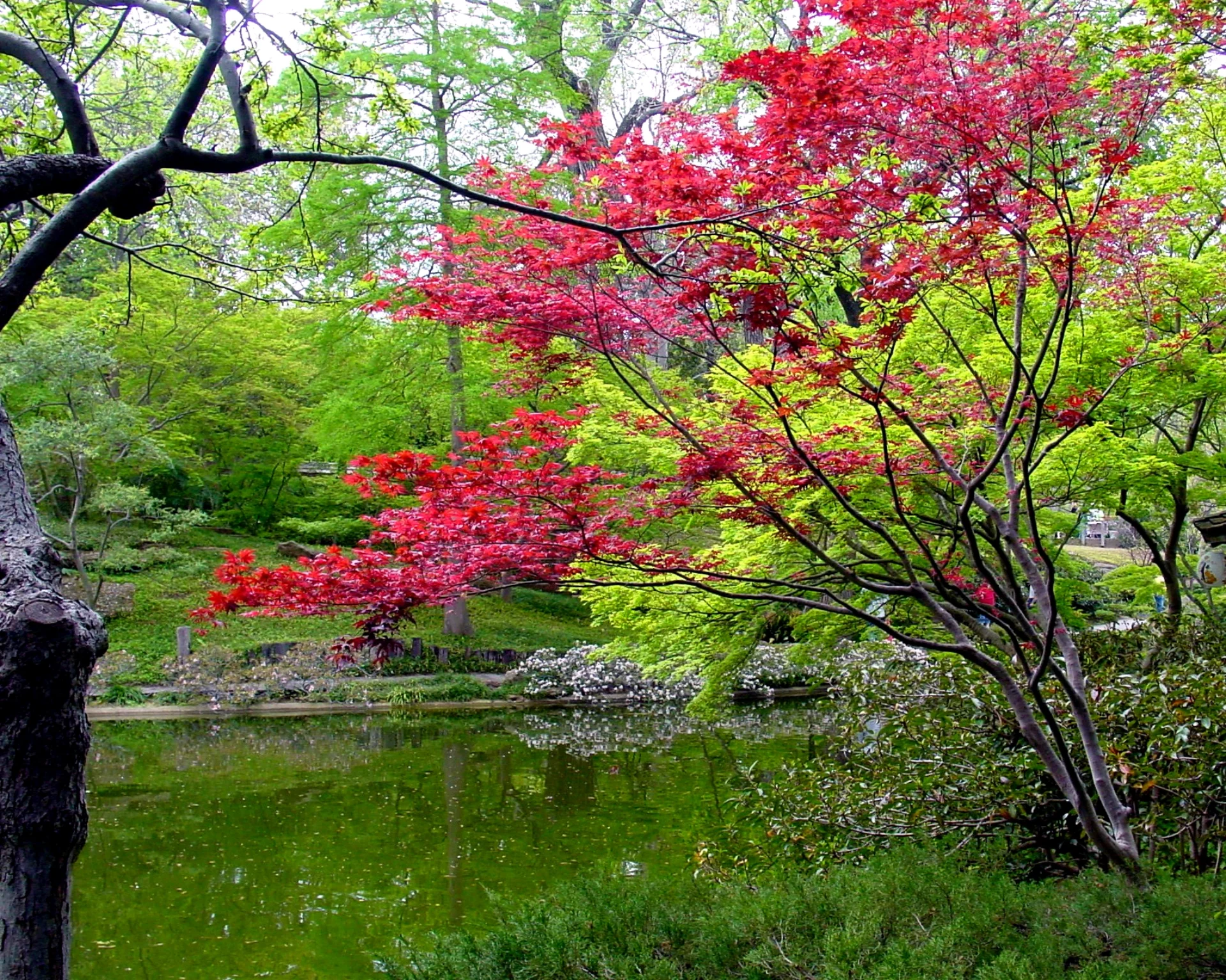 Choix du Gendai Reiki Ho